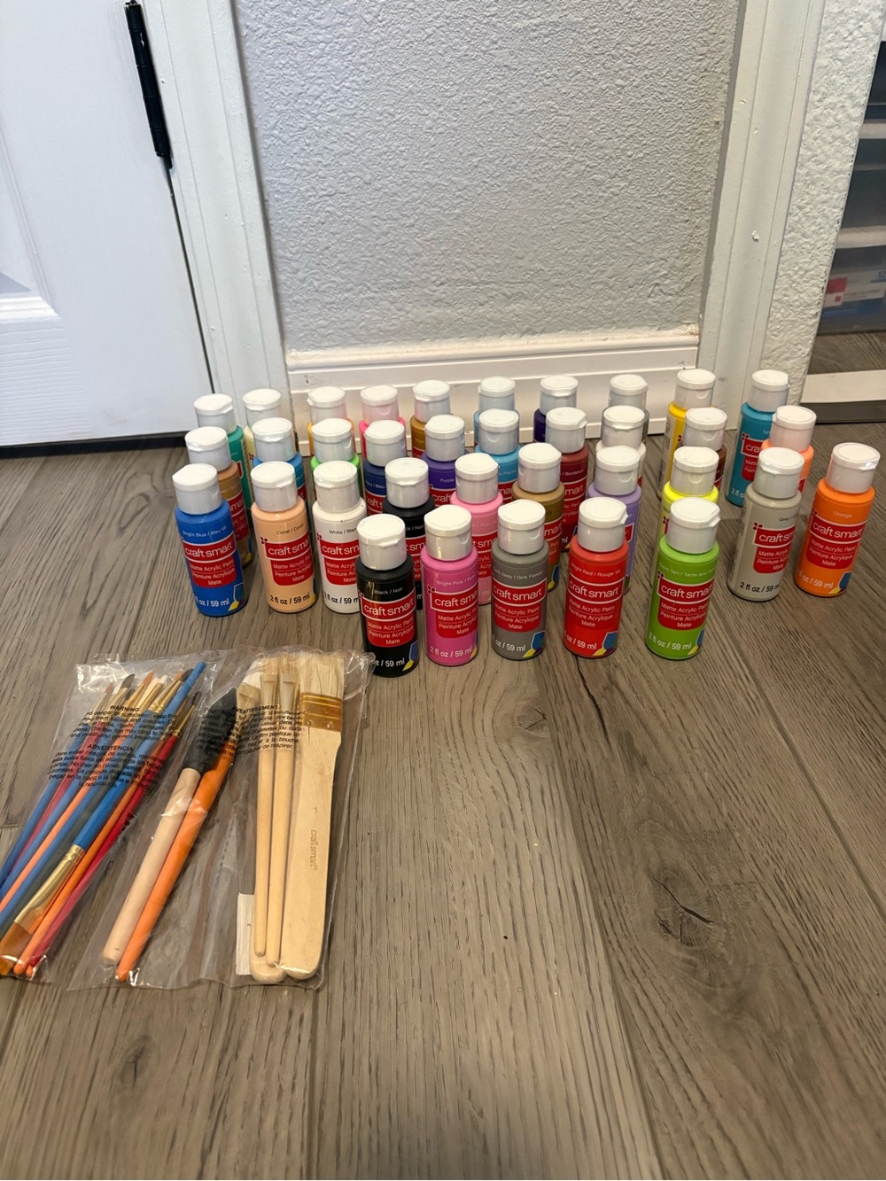 Craft Smart Acrylic Paint Set with Brushes - Bright Mixed Colors